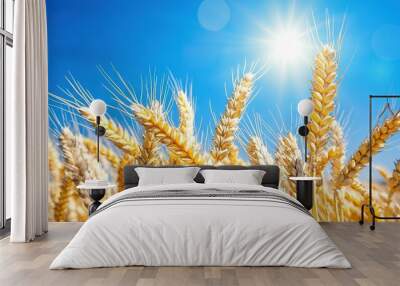   A field of ripe wheat under a blue sky with the sun in the center of the frame and a bright spot centered in the middle Wall mural