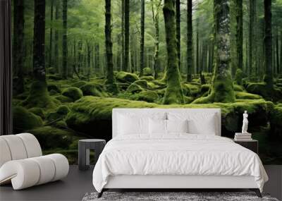  a forest filled with lots of green moss covered trees and a boat in the middle of a forest filled with lots of green moss covered trees. Wall mural