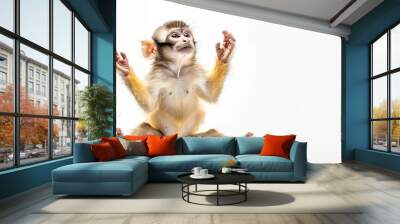   A monkey sitting on the ground with its arms raised and wide-open eyes Wall mural