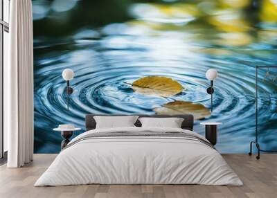   Leaf on water with adjacent floating leaf Wall mural