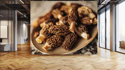 A close up shot of raw organic morel mushrooms. Concept of gourmet food and French cuisine Wall mural