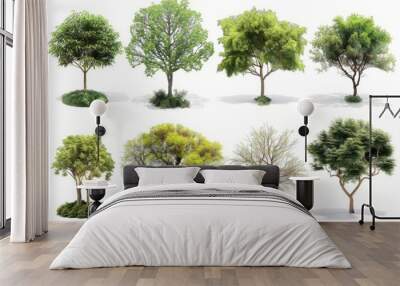 A collection of diverse isolated trees on a white background. Wall mural