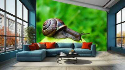 A snail crawls over an Apple Wall mural