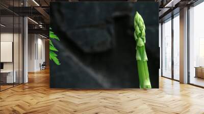 Organic healthy vegetarian food concept. Greens on dark background. Asparagus growing in the garden Wall mural