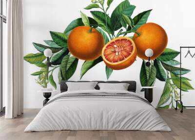 Fruit arrangement with vintage orange citruses, blossom, green leaves Wall mural