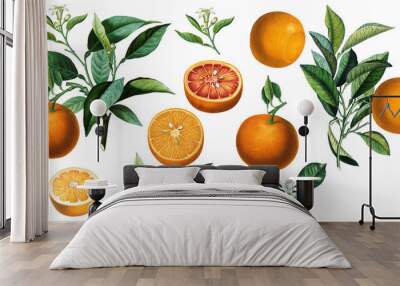 Fruit arrangement with vintage orange citruses and green leaves Wall mural