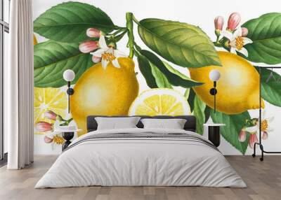 Yellow citrus seamless border arrangement with lemon fruits, blossoms and green leaves Wall mural