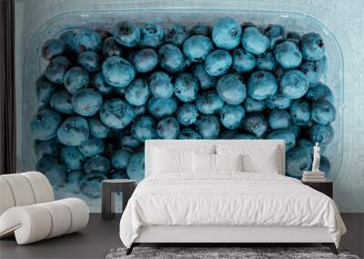 blueberries Wall mural