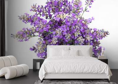 Bouquet of lavender on a white isolated background. Medicinal plants. View from above. Wall mural