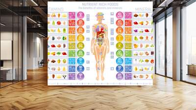 Vitamin, mineral and human body infographic. Nutrition food classification. Magnesium calcium potassium selenium phosphorus zinc mineral, A B C D E vitamin. Healthy supplement for pregnancy, immunity Wall mural