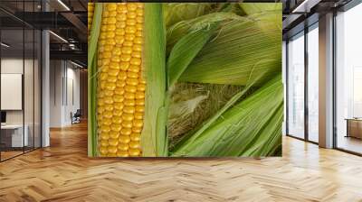 corn cobs on green leaves organic texture close up Wall mural