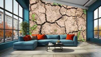 Dry cracked earth Wall mural