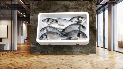 fresh mediterranean gilthead bream Wall mural