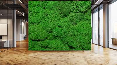 green moss on the wall. green background Wall mural