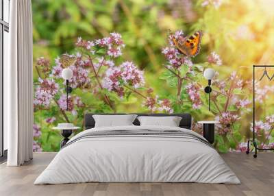 Purple flowers of origanum vulgare or common oregano, wild marjoram. Sunny day Wall mural