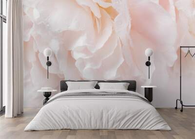 Romantic banner, delicate white peonies flowers close-up. Fragrant pink petals Wall mural