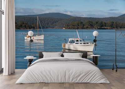 Two fishing boats on a lake with mountains in the distance Wall mural