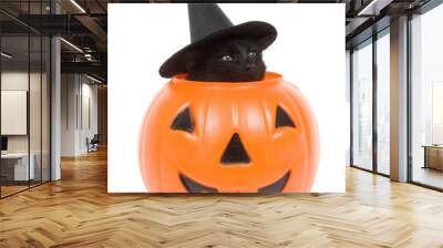 halloween pumpkin isolated on white Wall mural