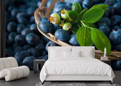 blueberries 2 Wall mural