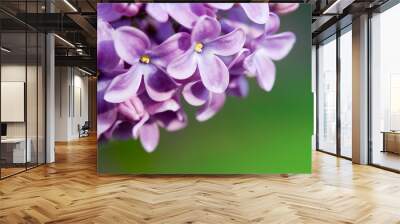 lilac Wall mural