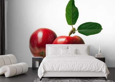 two apples Wall mural