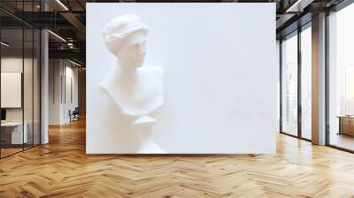 Marble head of young woman on marble background, copy space Wall mural