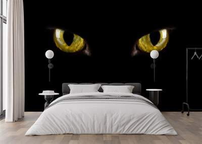 cat's eyes glowing in the dark. halloween background Wall mural