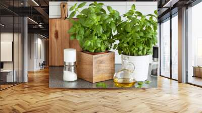 fresh basil herb in pot olive oil kitchen Wall mural