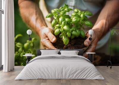 mature man gardener working in garden planting herbs basil, Generative AI Wall mural