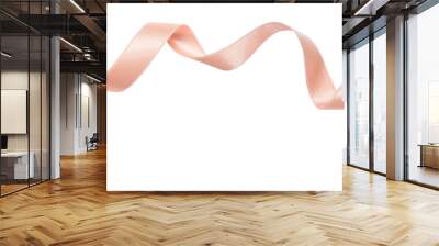 Pink ribbon curl isolated on white background. Pink ribbon bow and curl isolated on white background Wall mural