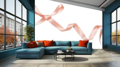 Pink ribbon curl isolated on white background. Pink ribbon bow and curl isolated on white background Wall mural