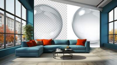 big transparent glass sphere and opaque sphere with glares and shadow. transparency only in vector f Wall mural