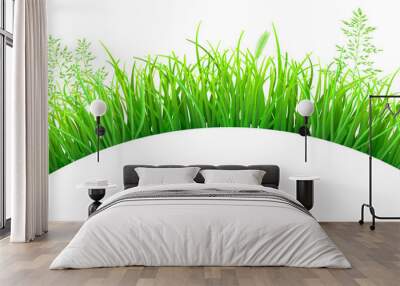 Green grass and spikelets in the shape of an arc on white background Wall mural