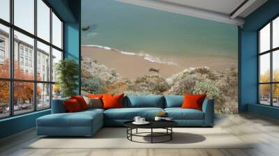 Ocean Wall mural