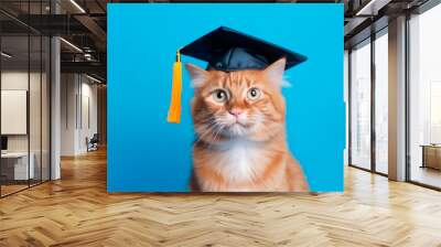 Orange cat wearing university graduate hat on blue background, Wall mural