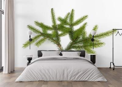 Pine branch isolated on white background. Fir tree branch isolated on white Wall mural