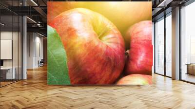 Fresh apple with green leaves from garden Wall mural