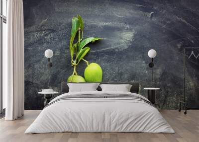 Whole small wild green mangoes on dark background Wall mural