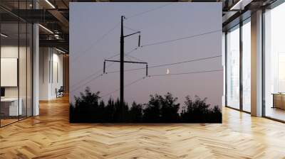 power lines in sunset Wall mural