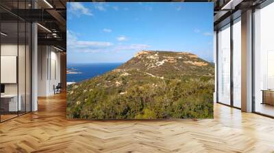 view of the top of the hill and Aegean Sea Wall mural