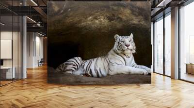 White Tiger Wall mural