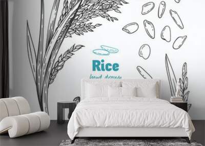 rice vector hand drawn illustration Wall mural