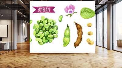 Soybeans, watercolor illustration Wall mural