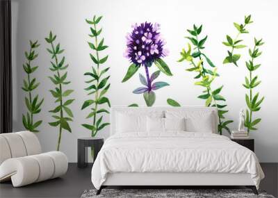 thyme twigs and flowers watercolor illustration with clipping paths Wall mural