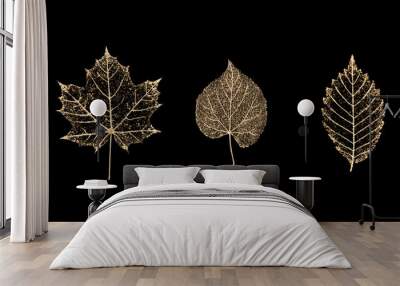 Set of gold skeleton leaves on black background Wall mural