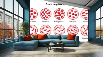 Set of gram-negative bacteria in magnifying glass: gonococcus, vibrios, spirillum, spirochetes, meningococcus, escherichia, helicobacter, rickettsia, chlamydia. Vector illustration in flat style Wall mural