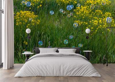 Abstract, blurry soap bubbles in the field. Design Elements Wall mural