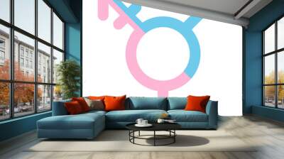 Third gender and sex symbol concept made of half male and half female sign isolated on white background. Symbol of transgender.
 Wall mural