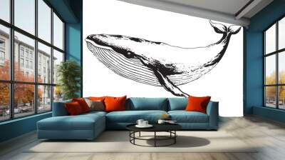 Vector hand drawn of humpback whale. Whale vintage sketch illustration logo Wall mural