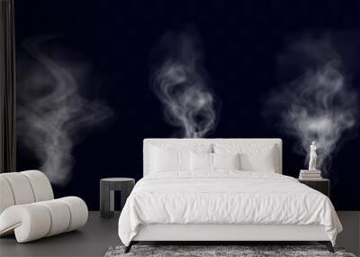 White smoke, vape, fog, smog. Illustration of smoke on a transparent background.
 Wall mural